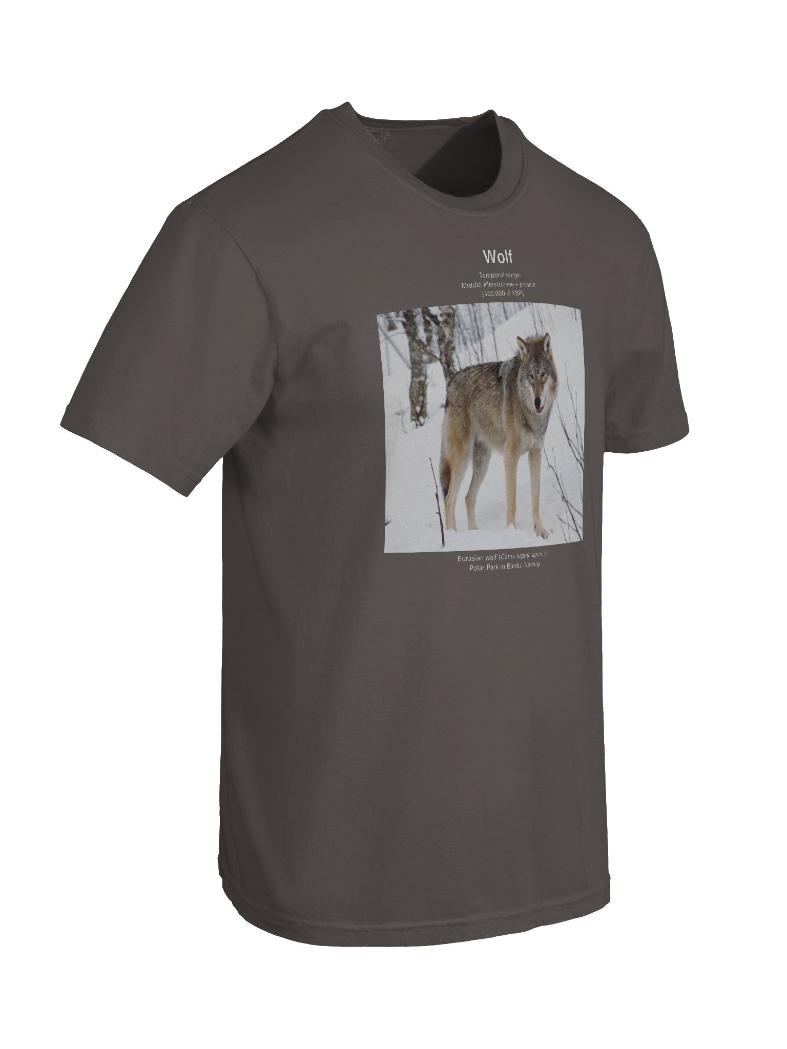 Wolf Wikishirt product image (8)