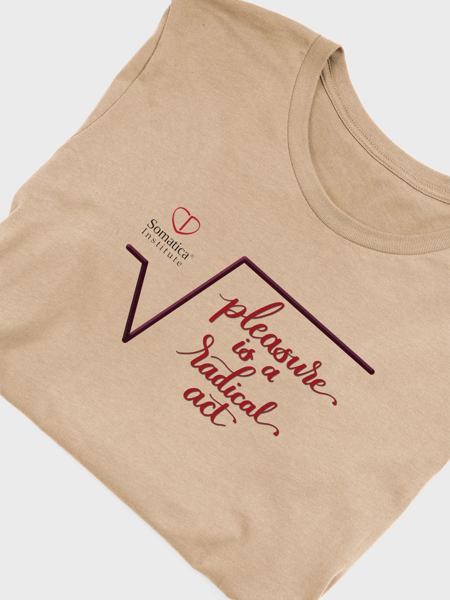 Pleasure is a radical act T-Shirt product image (2)