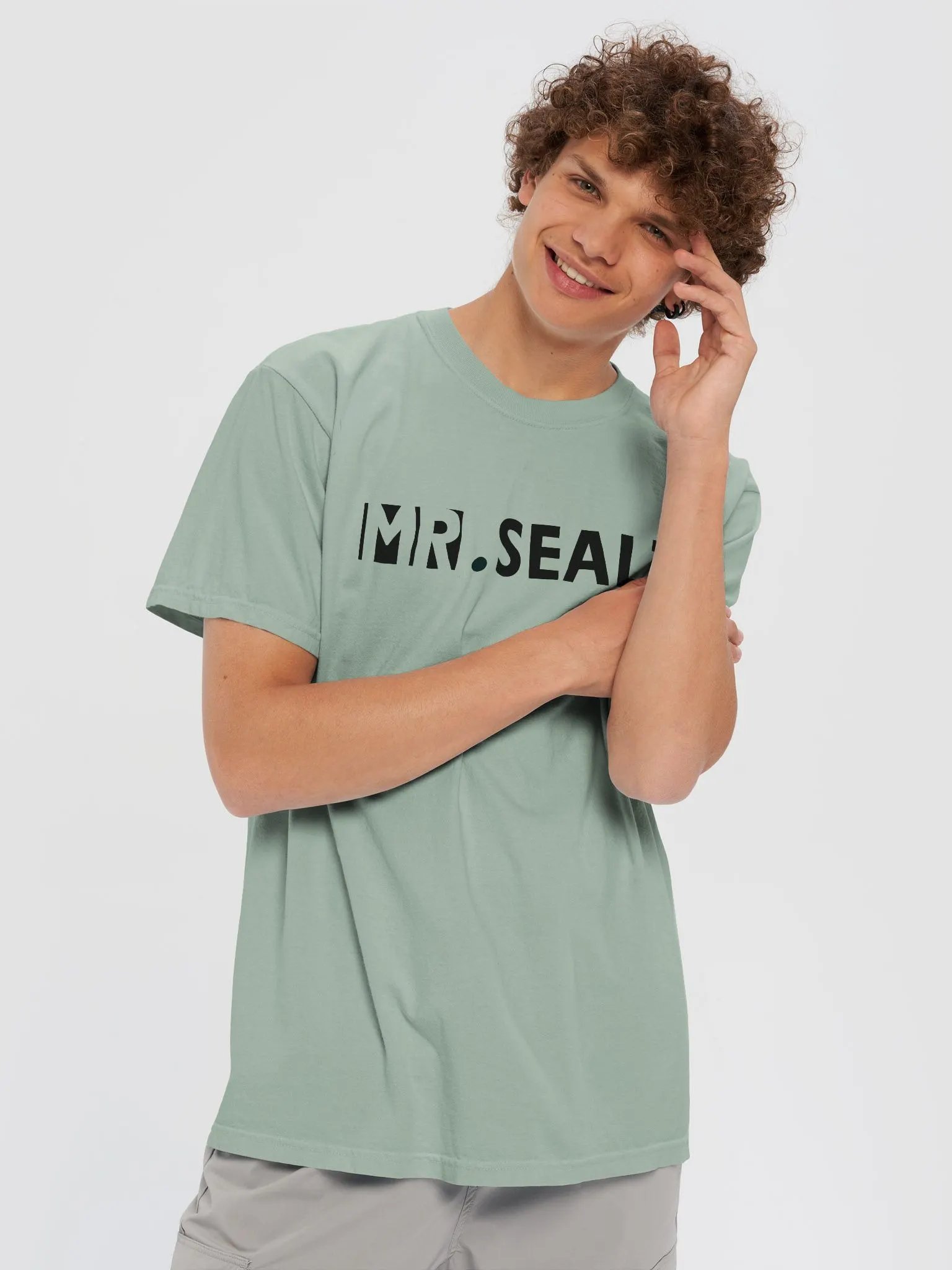 Mr. Sealz Basic Shirt product image (35)