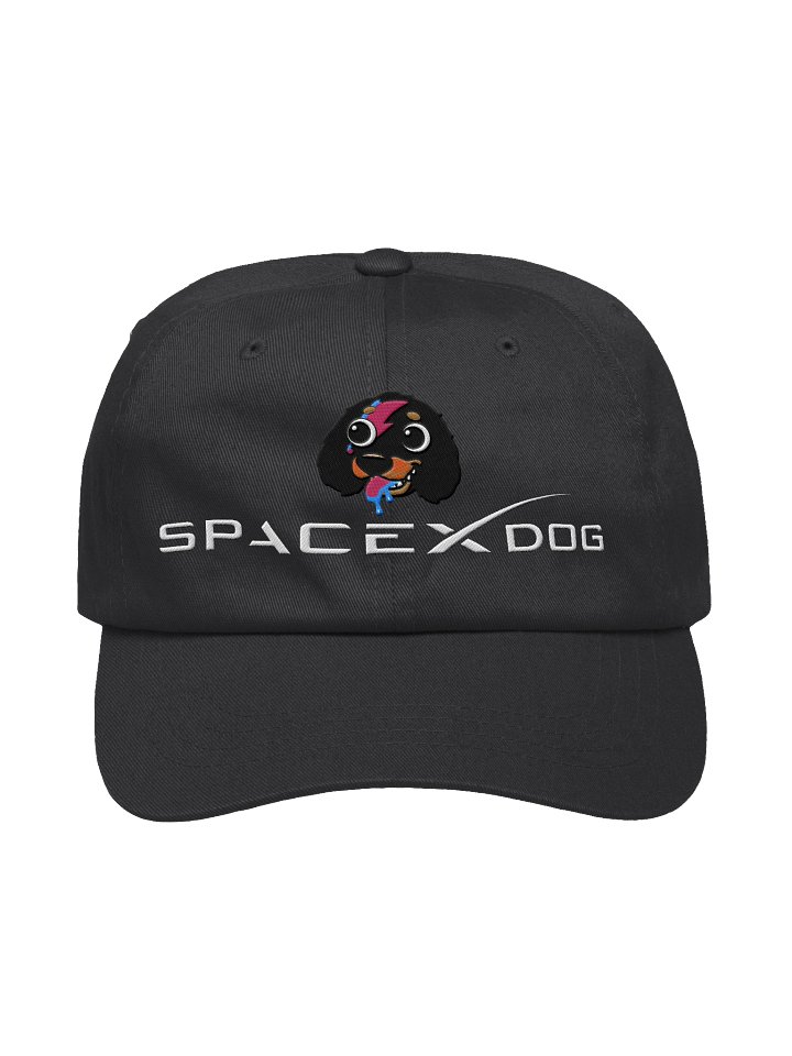 Bowie SpaceX Dog - Hat product image (1)