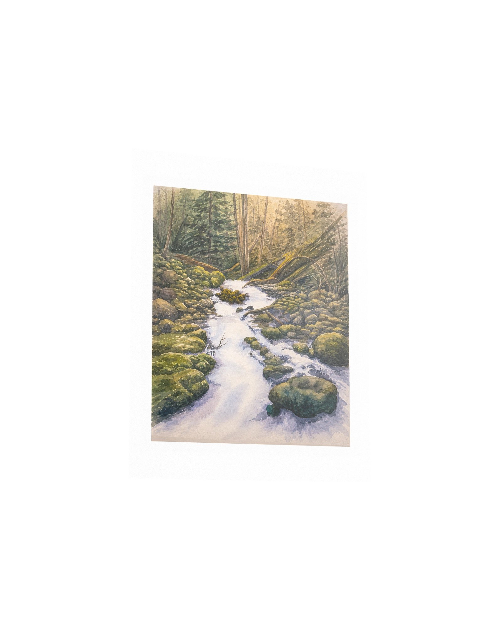 Forest Creek product image (3)