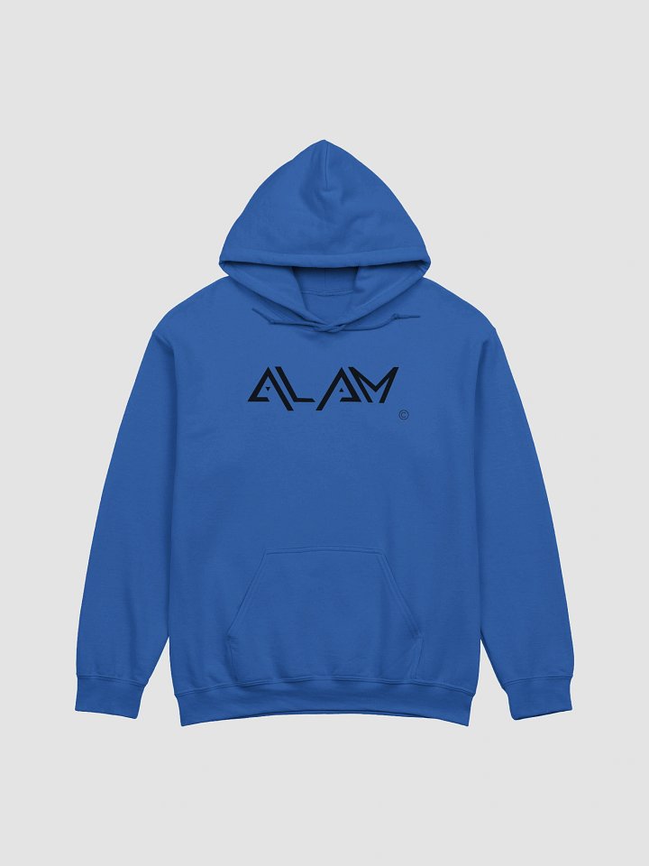 ALAM Standard Hoodie product image (7)