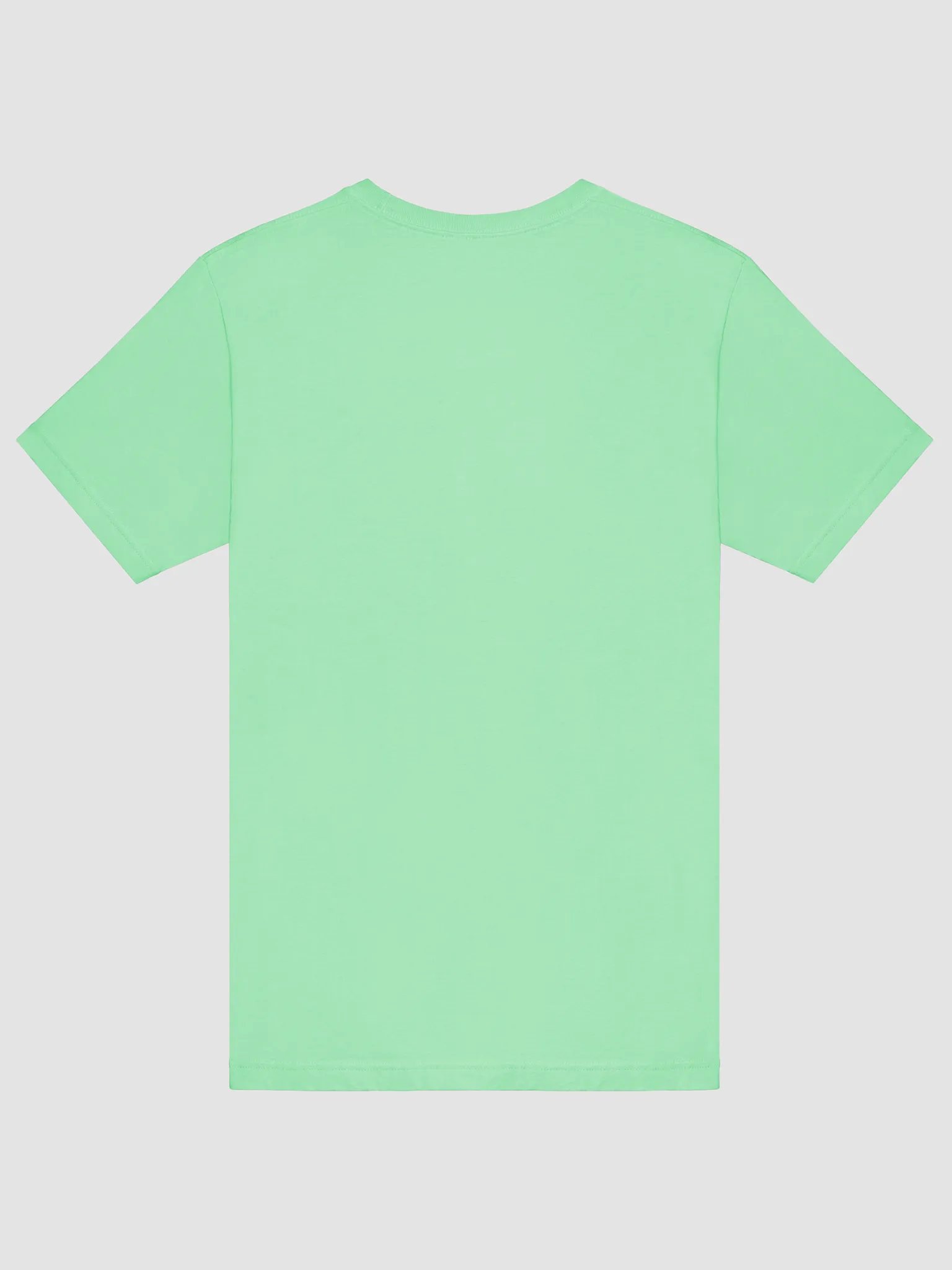 Bella Supersoft T-Shirt product image (82)