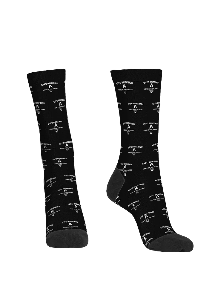 STFC Briefings EST Socks Black product image (2)