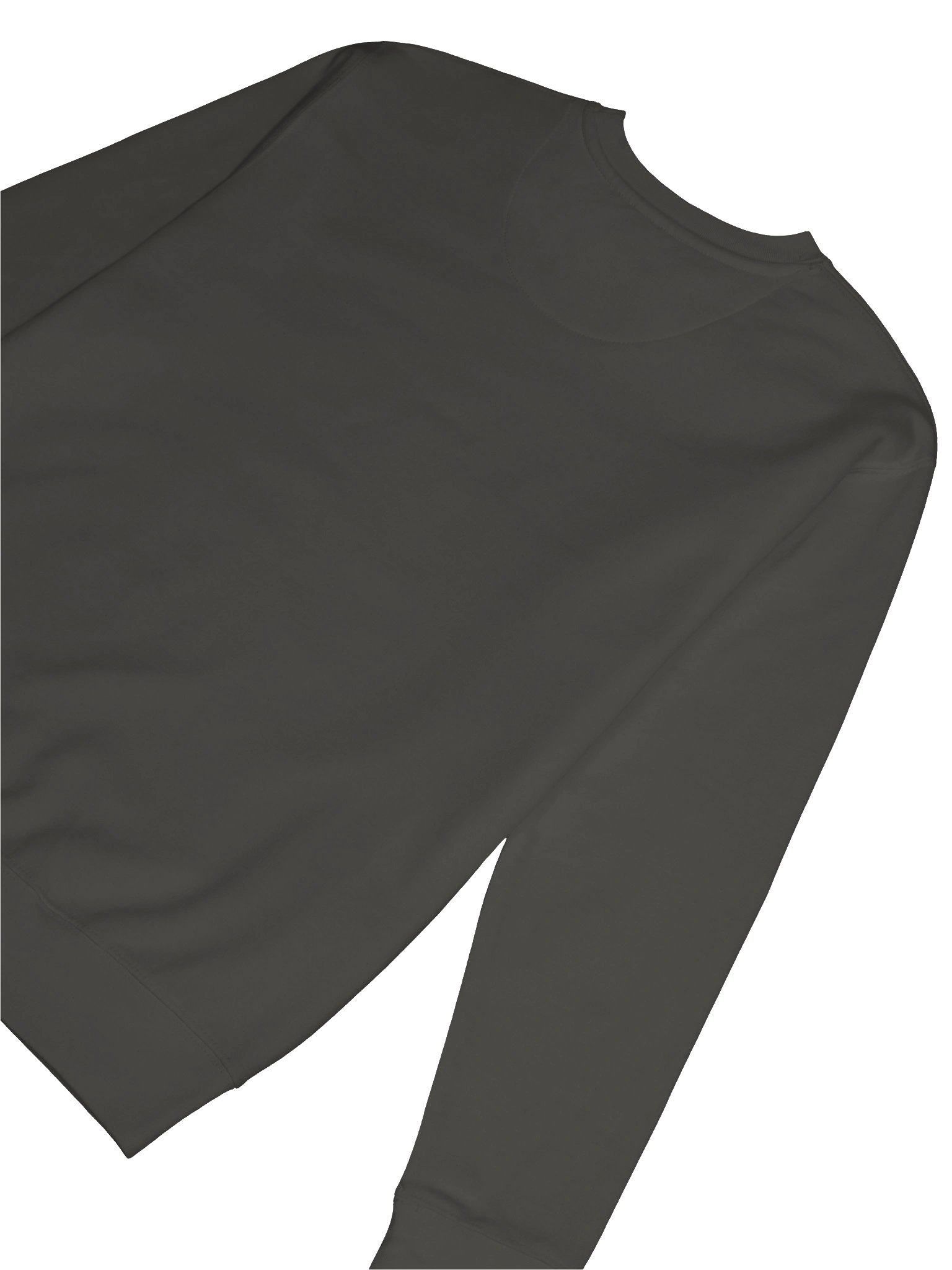 Logo Sweatshirt product image (8)