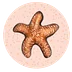 Starfish Sticker