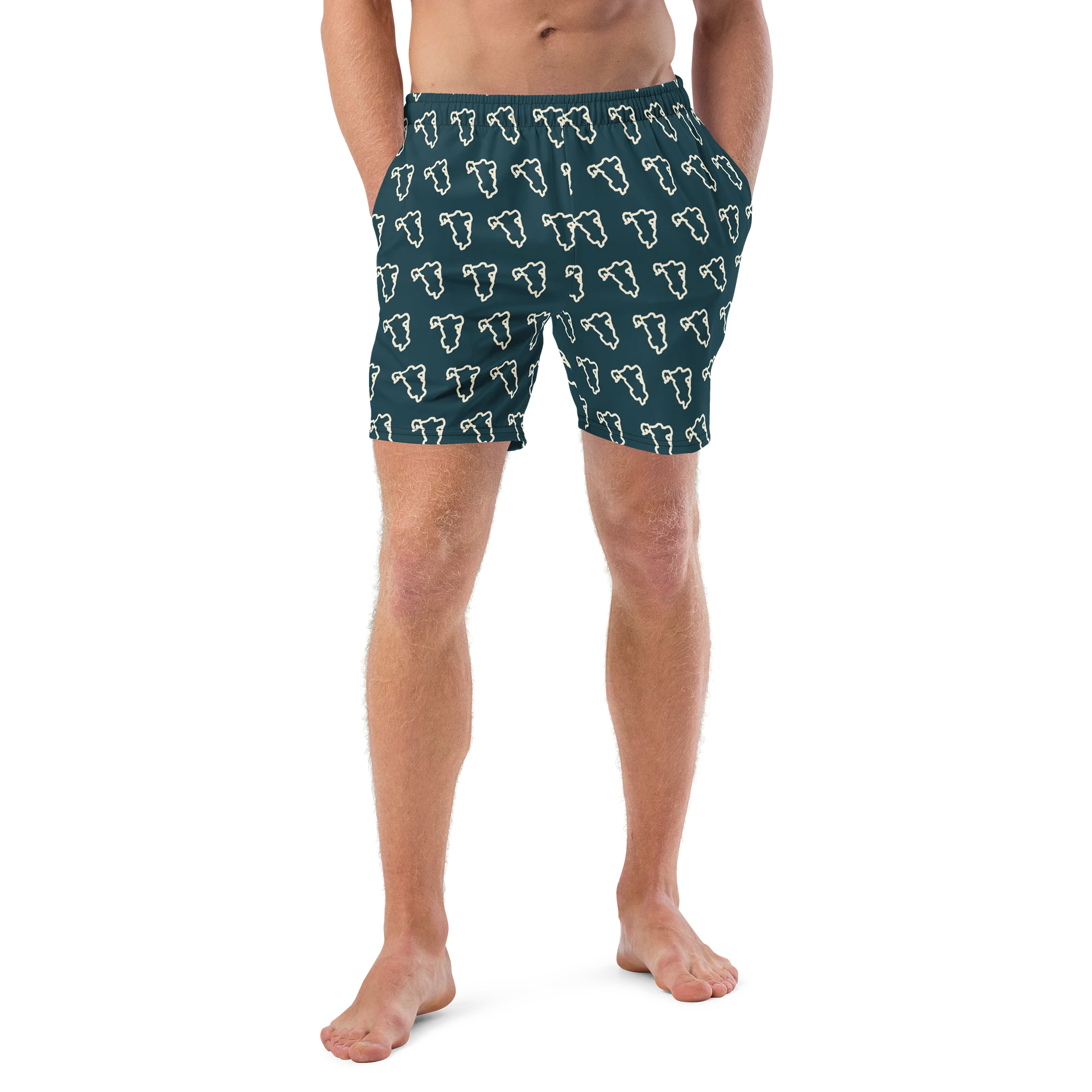 Lake Lines Recycled Swim Trunks product image (4)