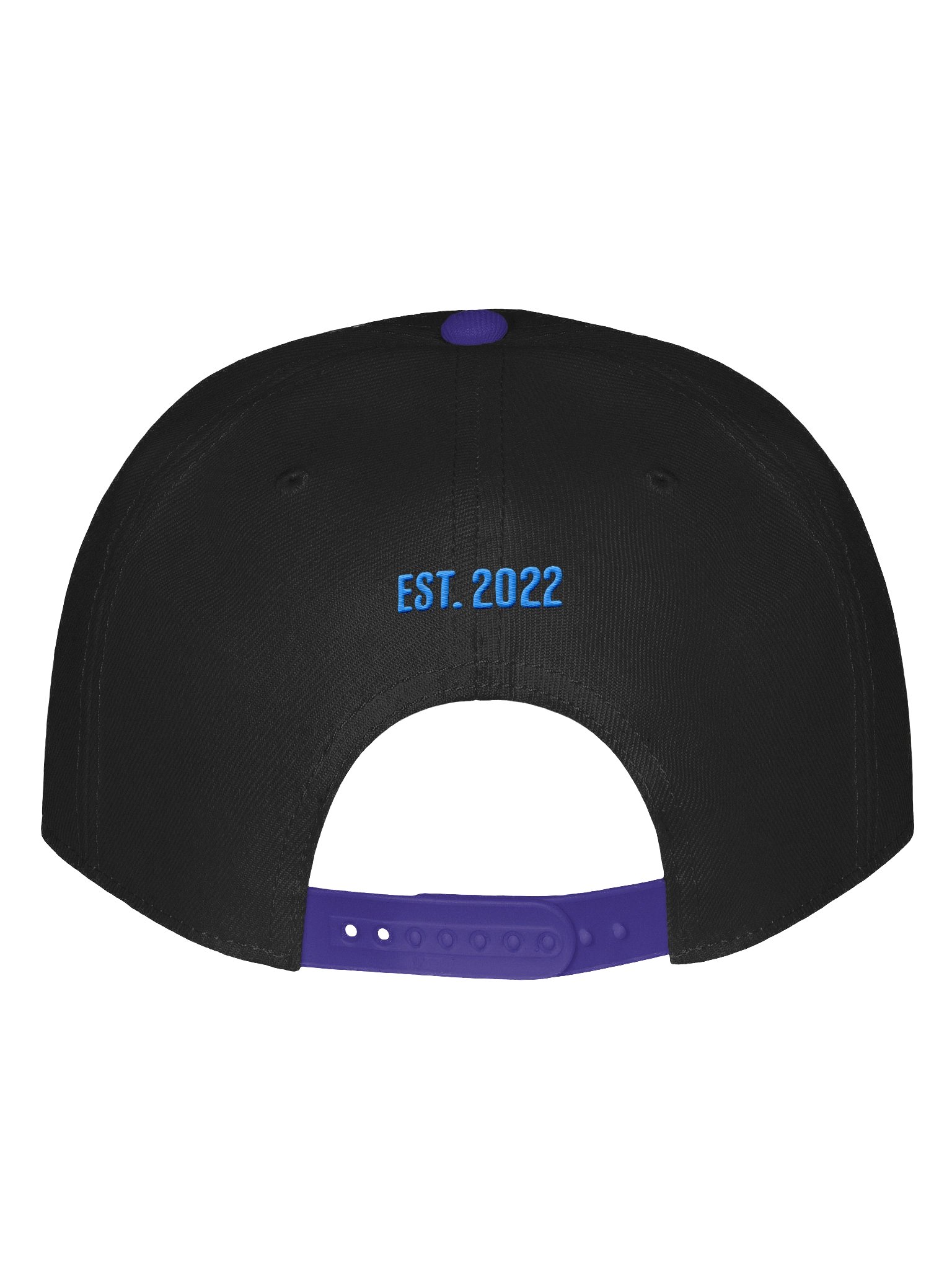 Blueprint Cap product image (4)