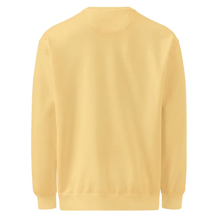 SDS Unisex Garment-Dyed Sweatshirt product image (35)