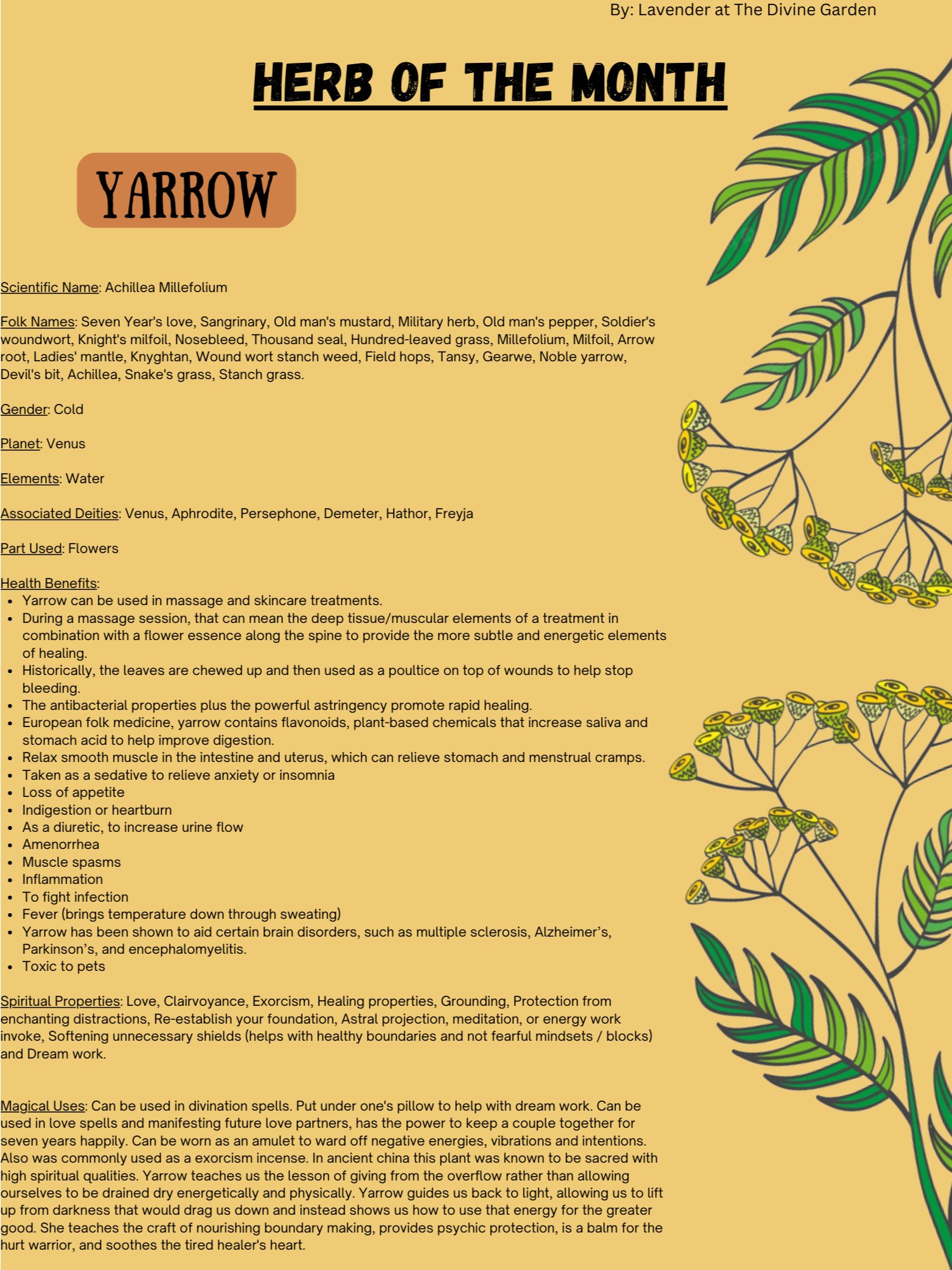 Yarrow product image (1)