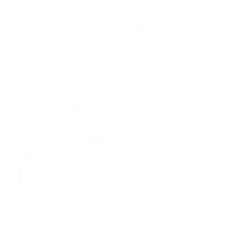 J.M.P