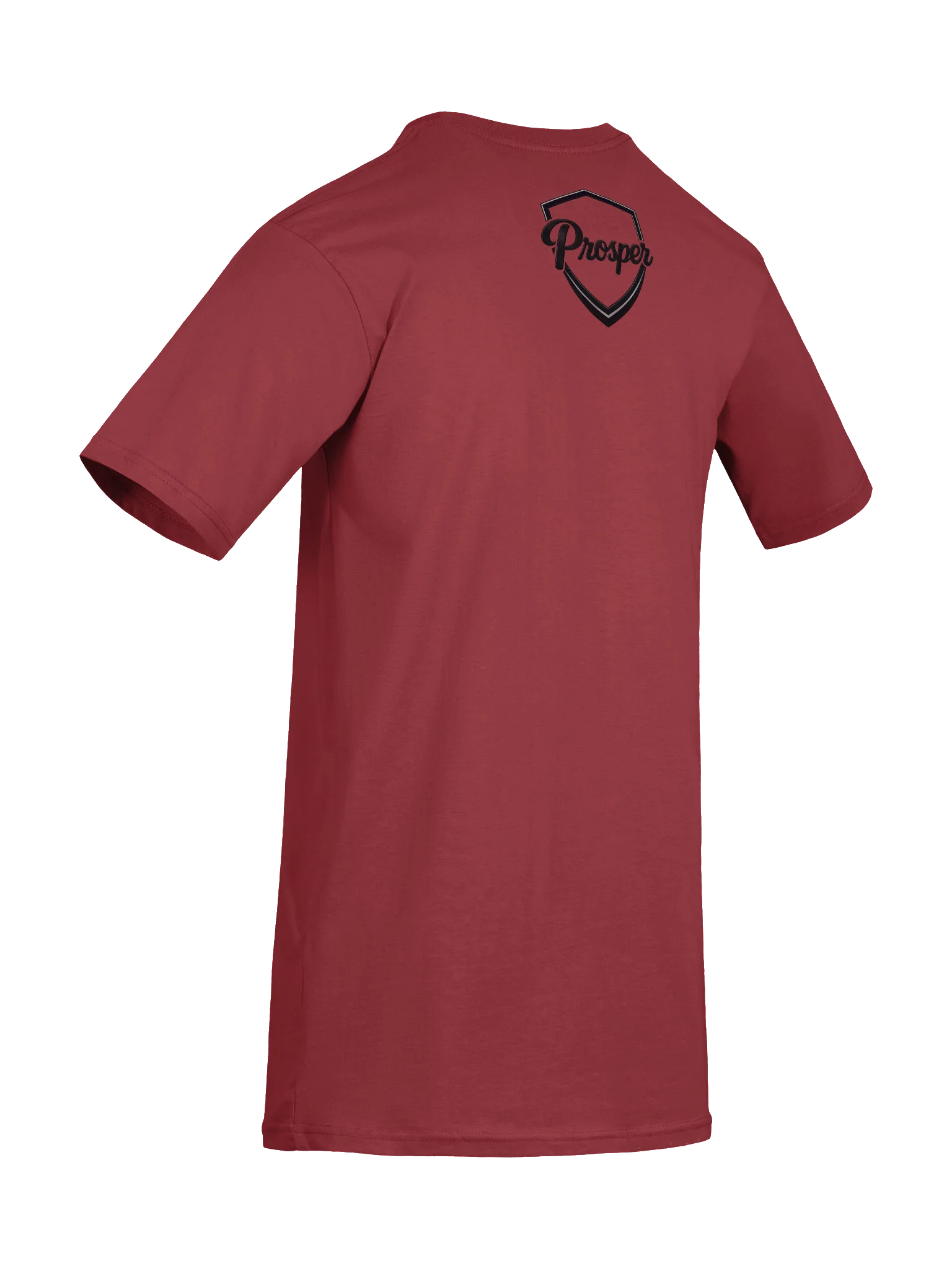 PROSPER Heavyweight T-shirt product image (46)