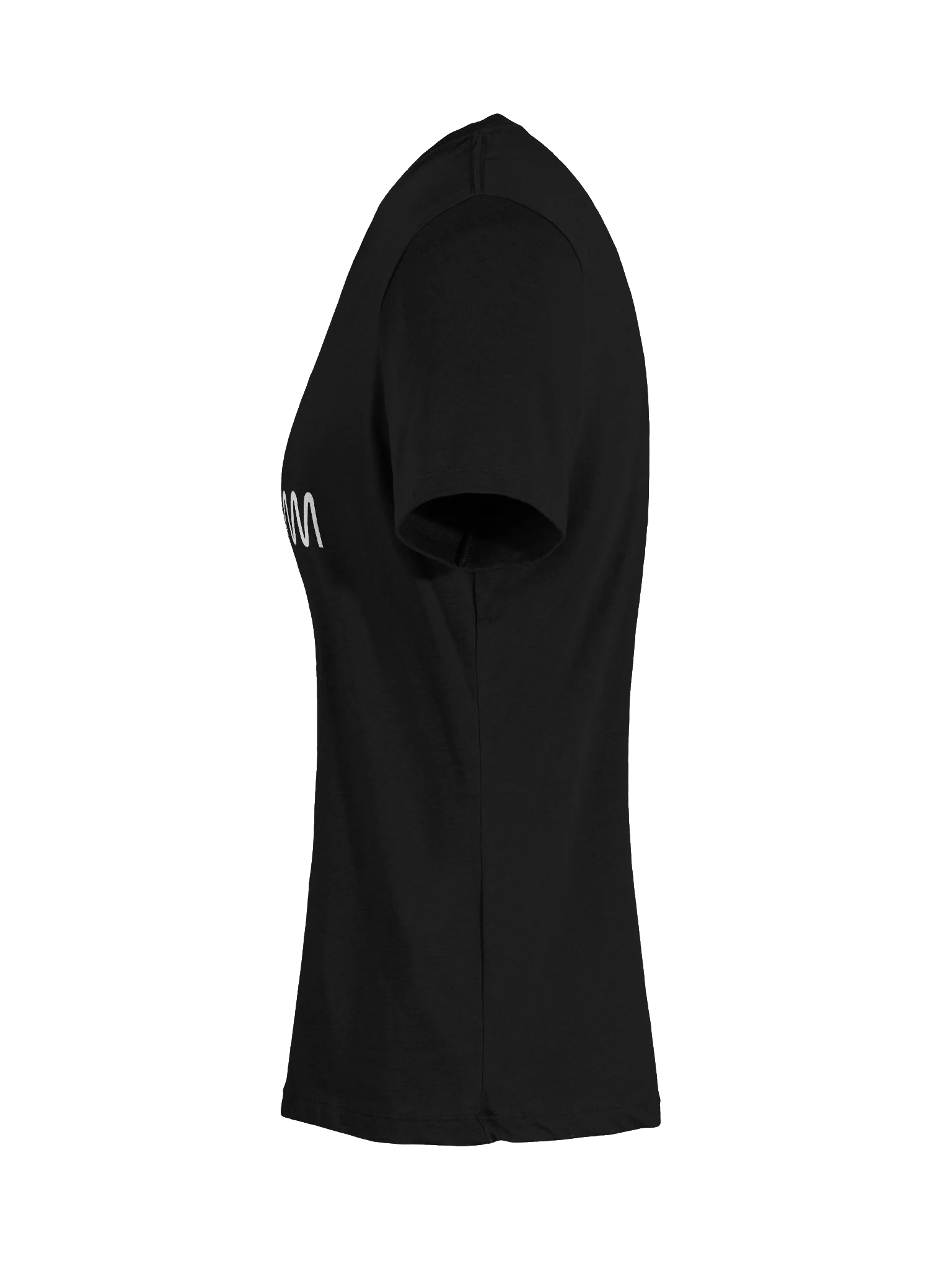 Ecamm Ladies' V-Neck Shirt product image (28)
