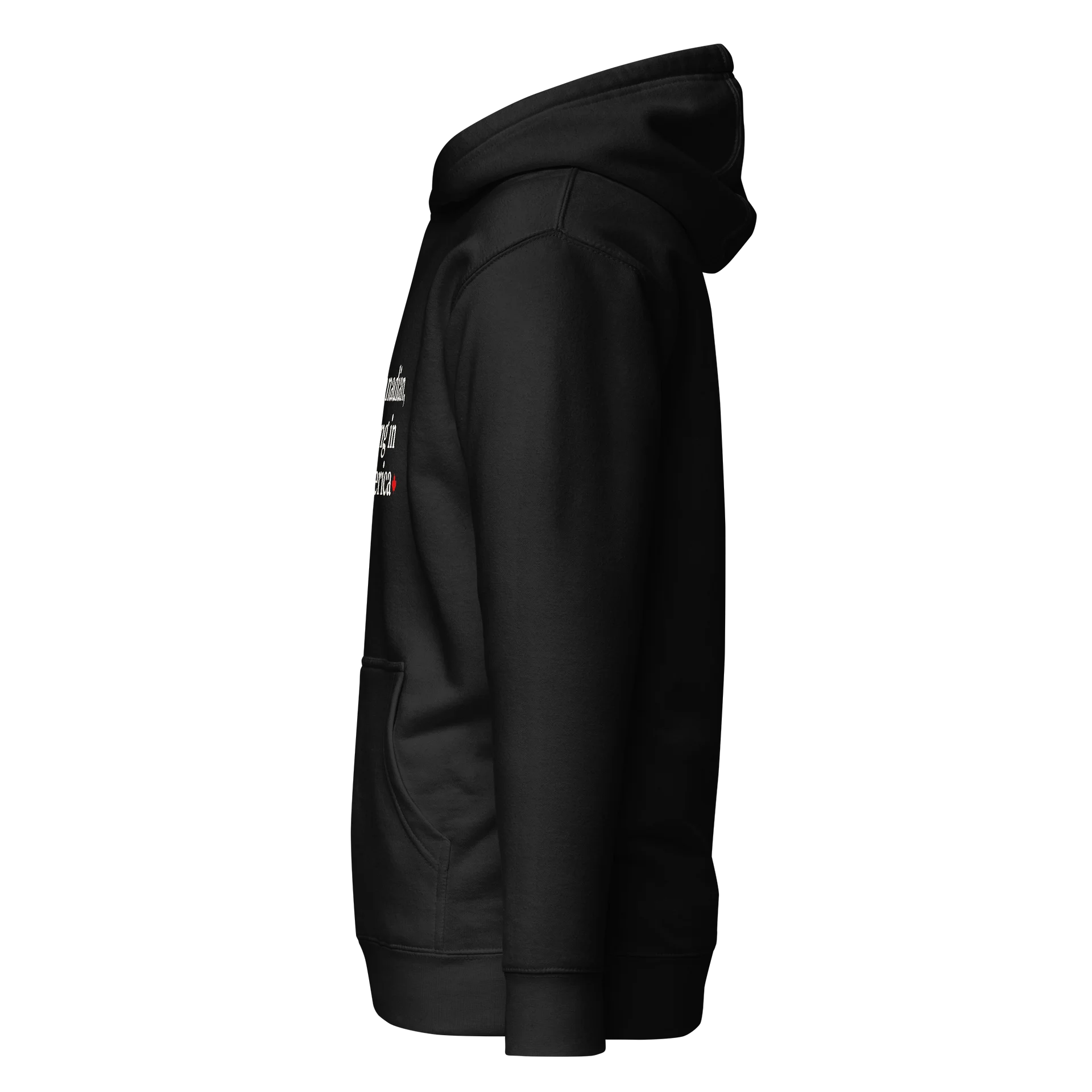 Canadian, Living in America Hoodie product image (4)
