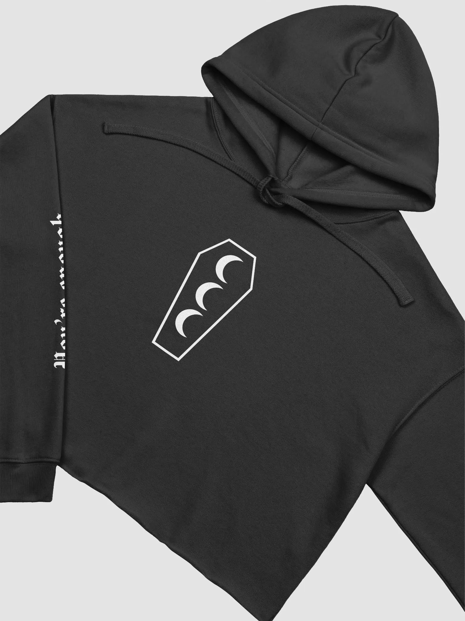 CCC Cropped Hoodie product image (3)