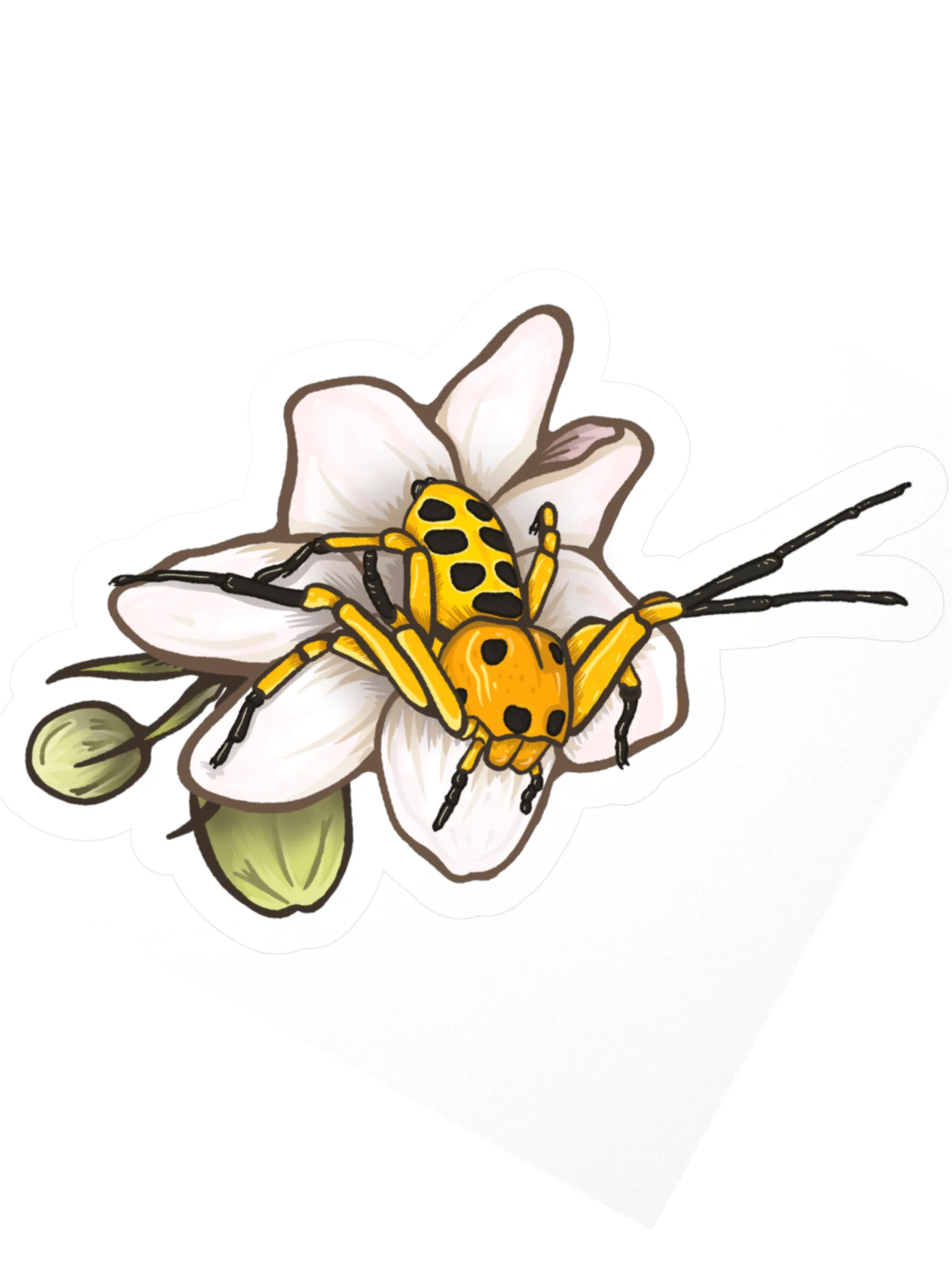pikachu crab spider sticker product image (5)