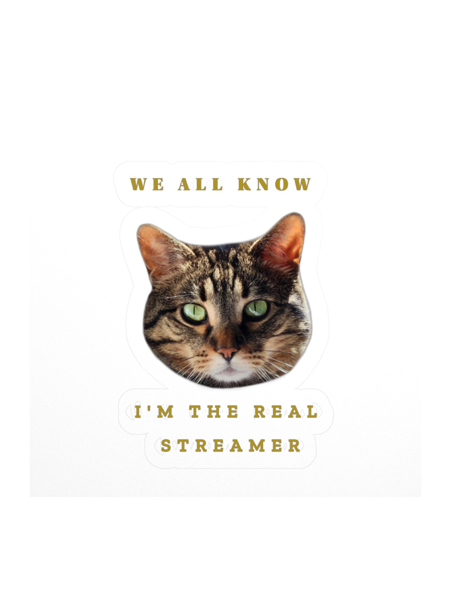 The Real Streamer Sticker product image (1)