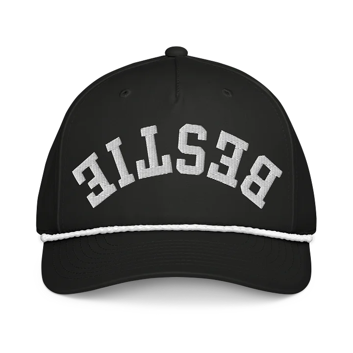 Bestie Upside 3D Puff Embroidered Down Hat product image (1)