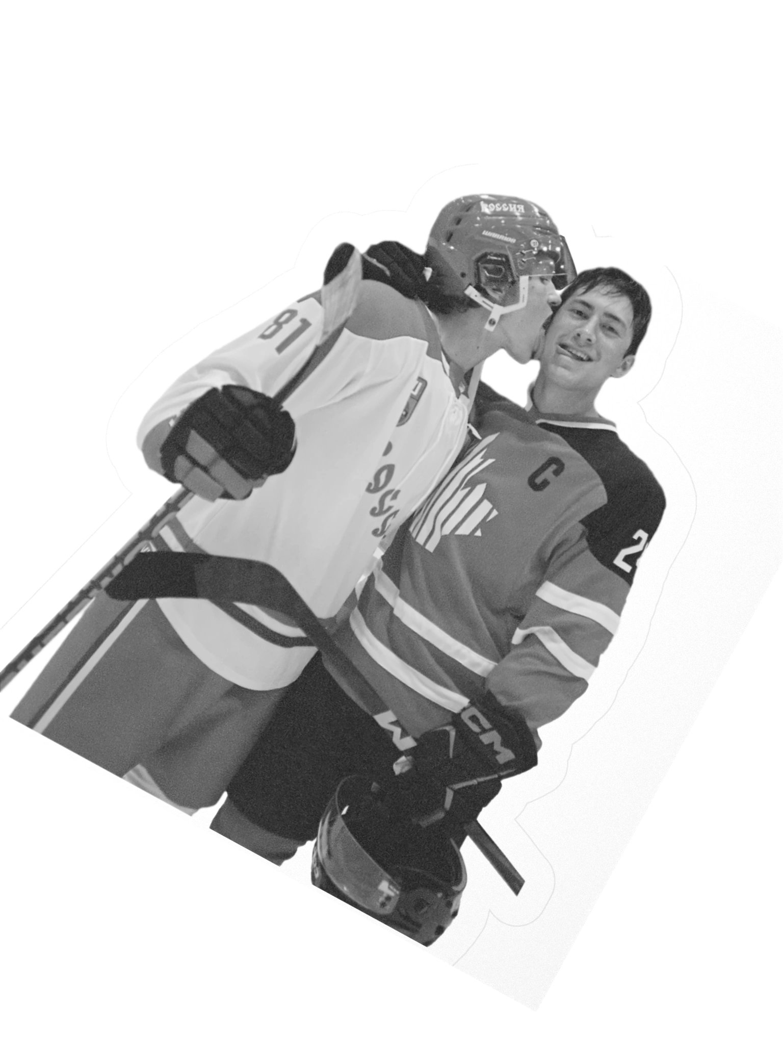 HOLLANOV B & W STICKER product image (5)