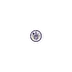 Violet Night Logo