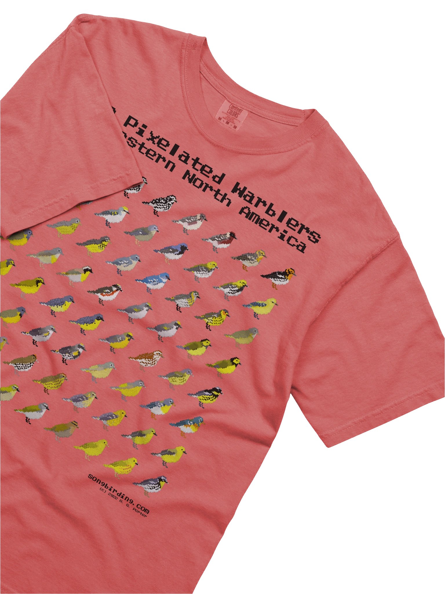 The Pixelated Warblers of Eastern North America Heavyweight Tee (black text) product image (5)