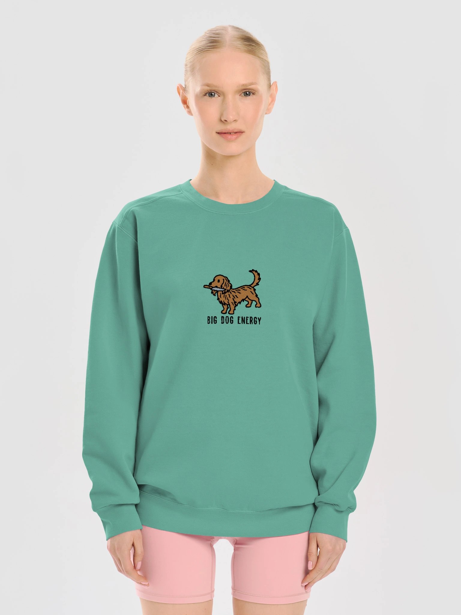 Big Dog Energy Funny Chibi-Style Embroidered Premium Sweatshirt for Longhaired Dachshund(Tan) Owners product image (29)