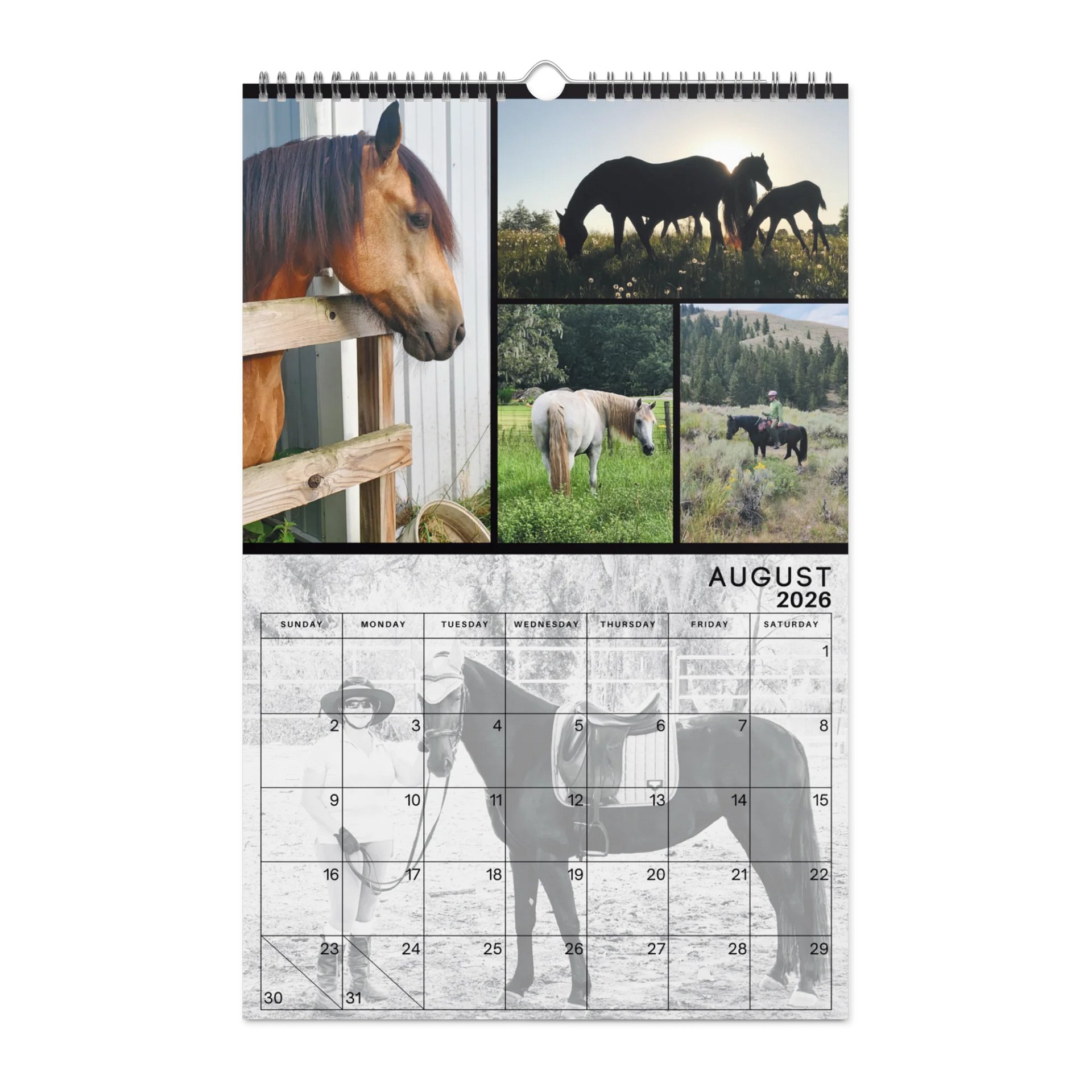 2026 Moriesian Horse Registry Calendar product image (2)