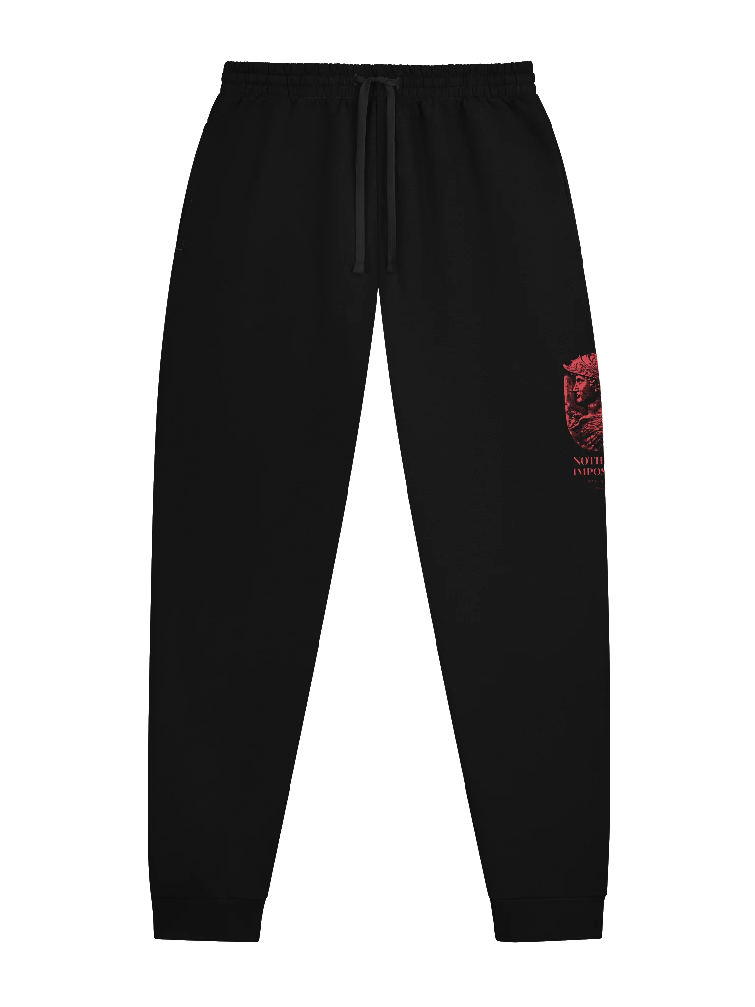 Alexander Nothing Is Impossible - Joggers product image (3)