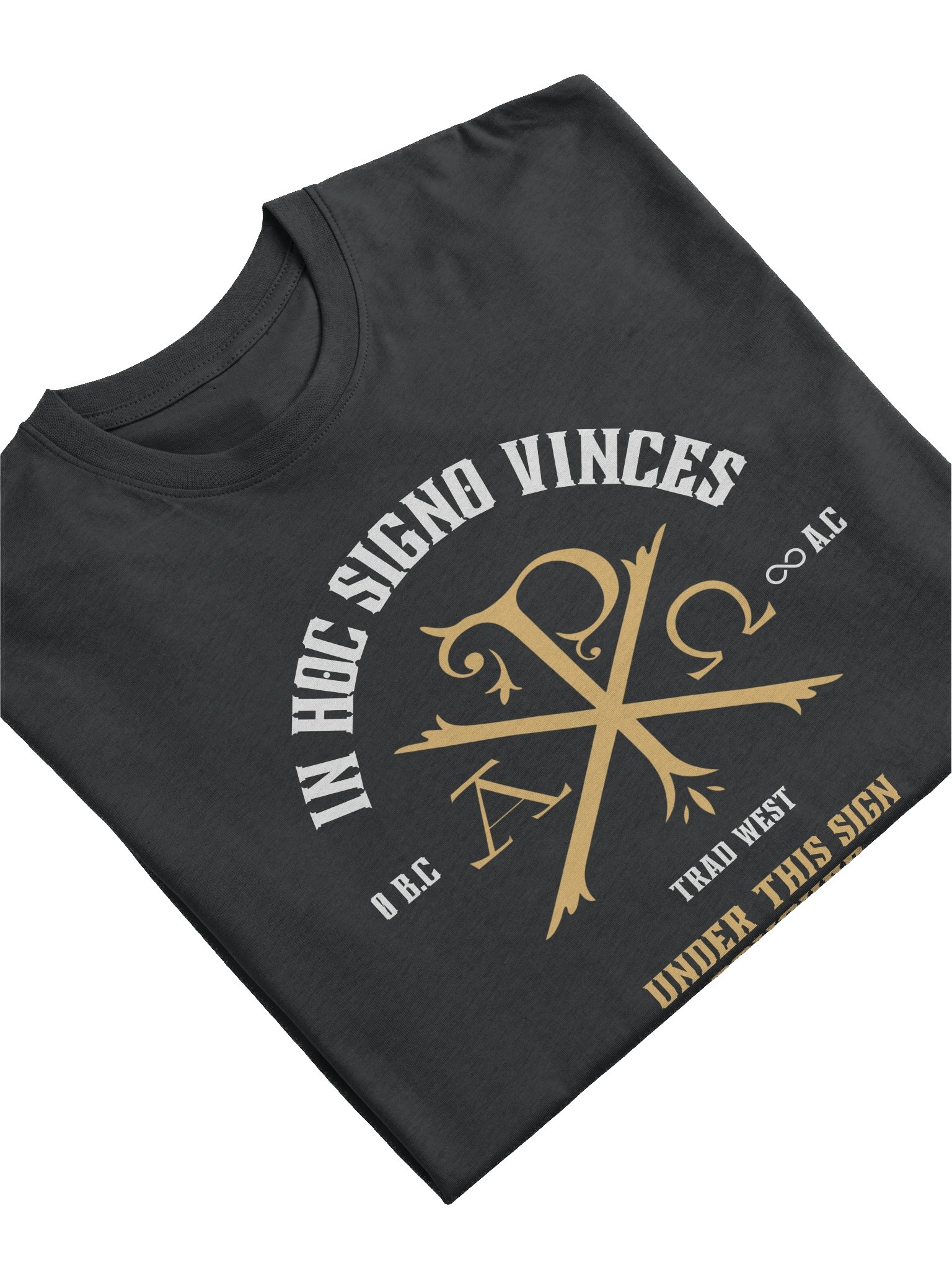 Under this sign conquer Heavy Tee product image (11)