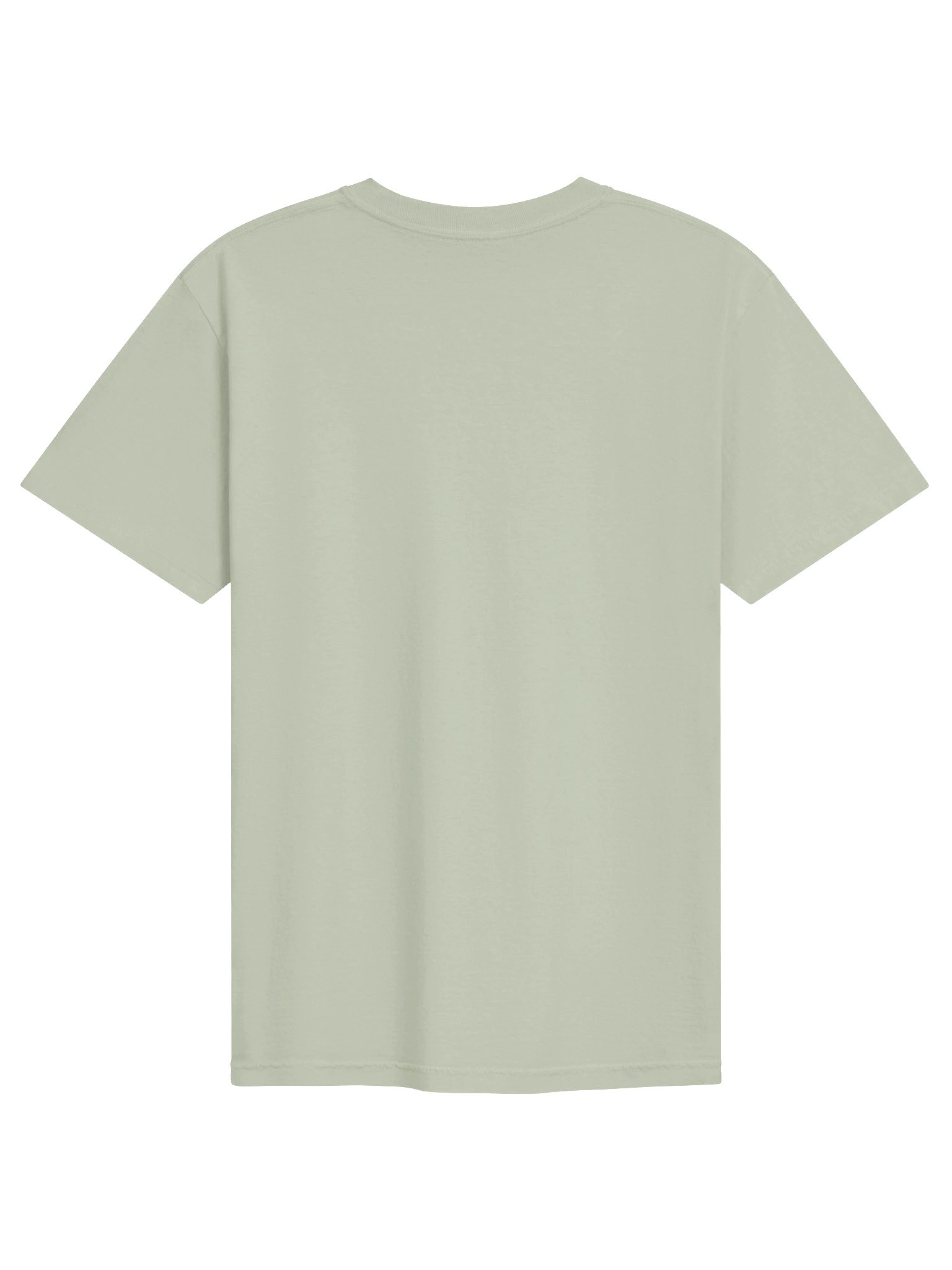 As Per My Last Email Corporate Raccoon Tee product image (23)