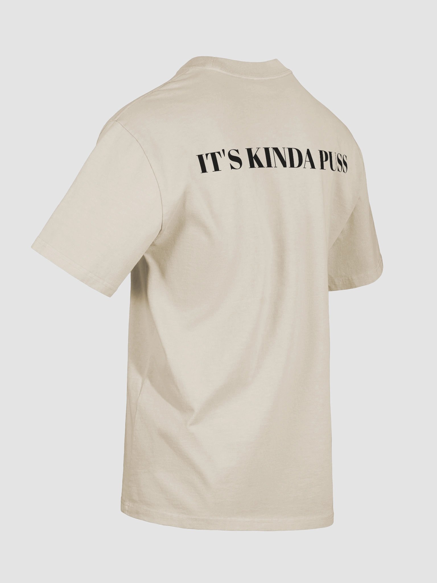 KorbosPuss Oversized T-shirt product image (42)