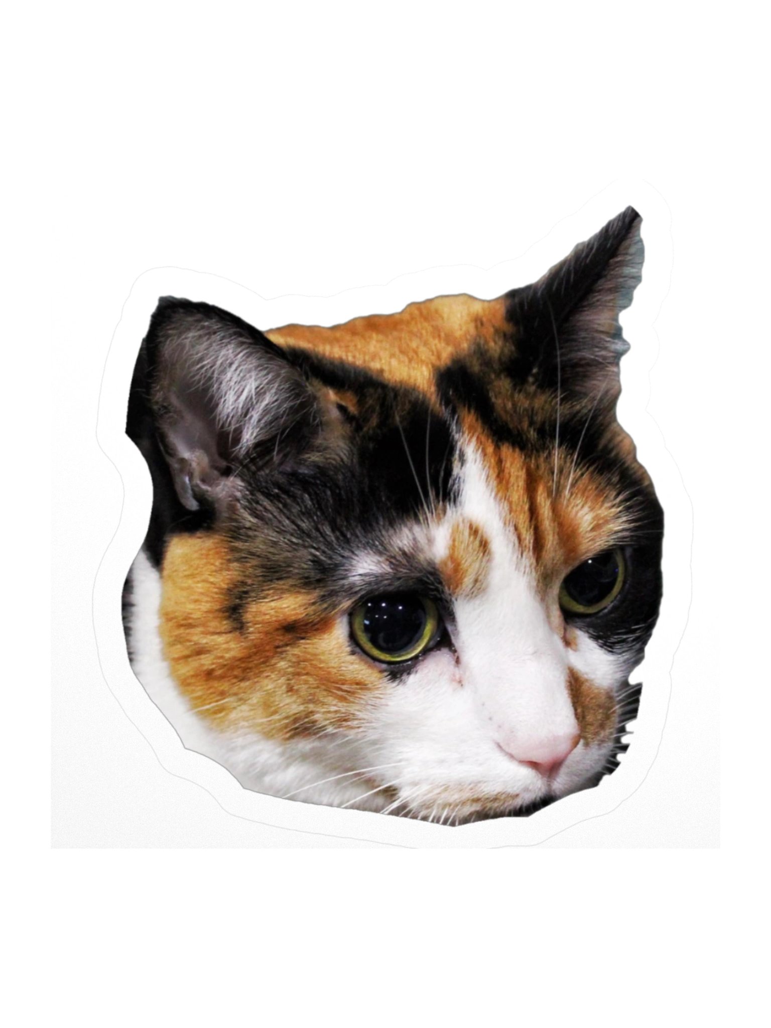 Captain Noodle Sticker product image (4)