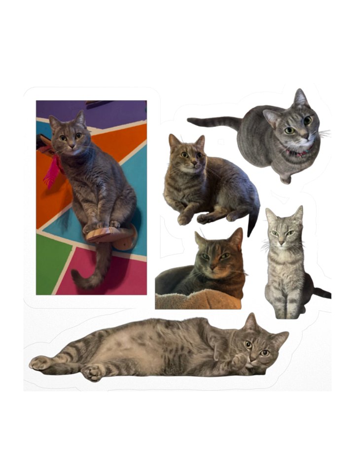 Lucipurr the Gray Cat Stickers product image (1)