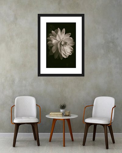 Vintage Velvet
Decorate Your Space!
Art work available as Framed Prints, Canvas Prints, Metal Prints & Fine Art Prints! Many ...
