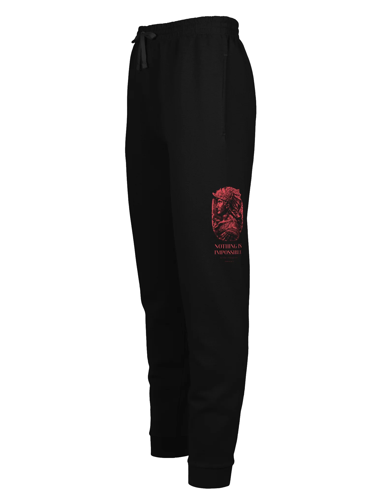 Alexander Nothing Is Impossible - Joggers product image (1)