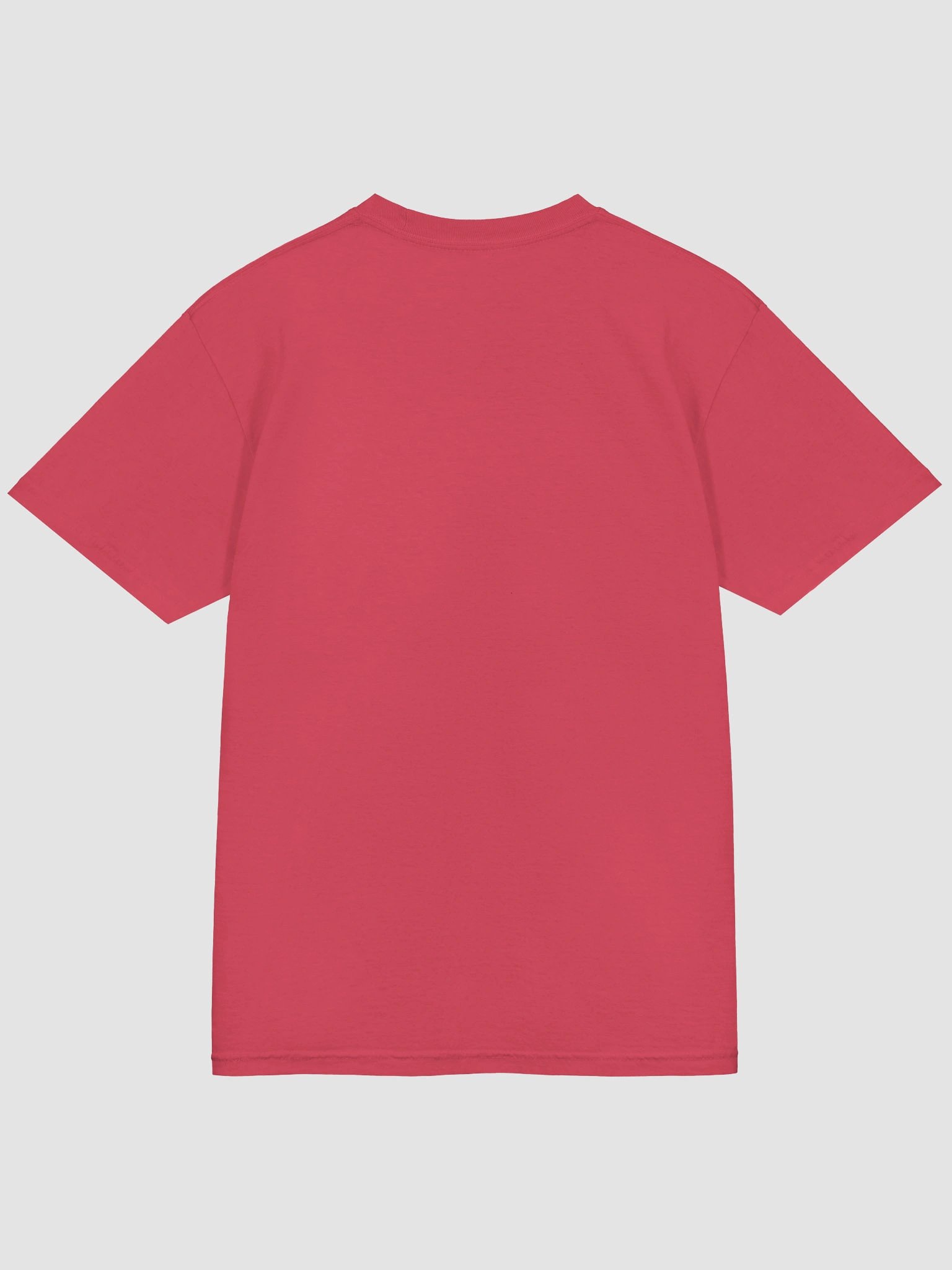 Spartan Legacy Tee product image (4)