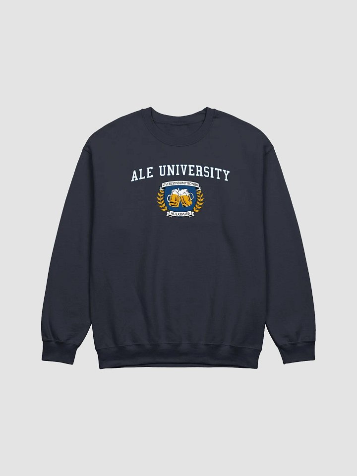 Ale University Sweatshirt product image (9)