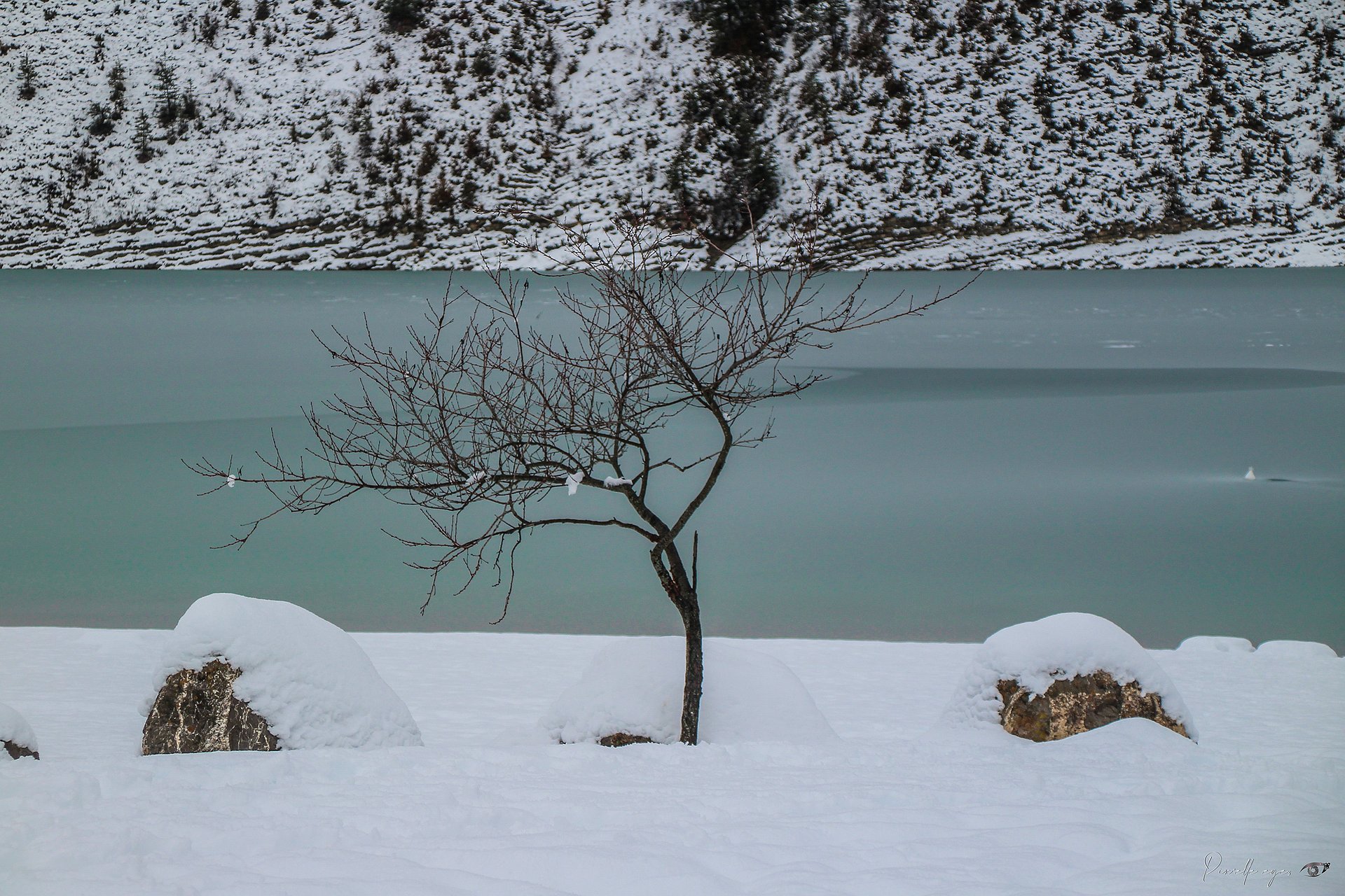 Frozen Serenity - Lac de Castillon, France product image (1)