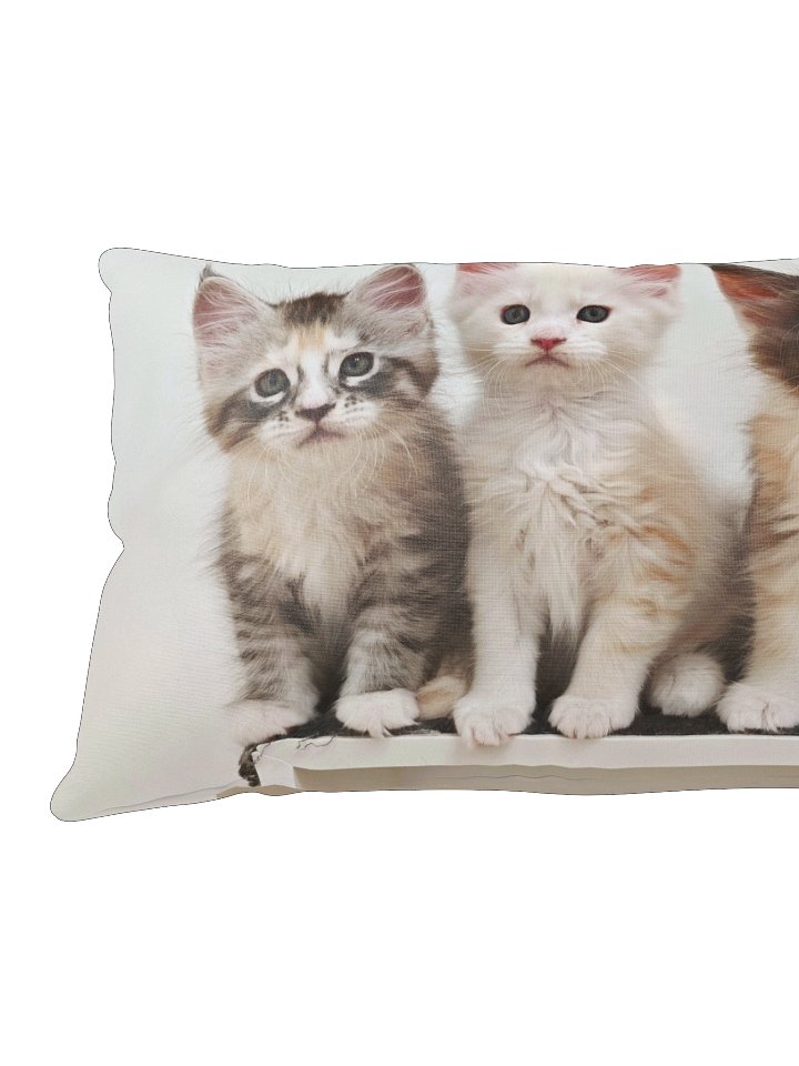 Ada's Kittens - Pillow product image (2)