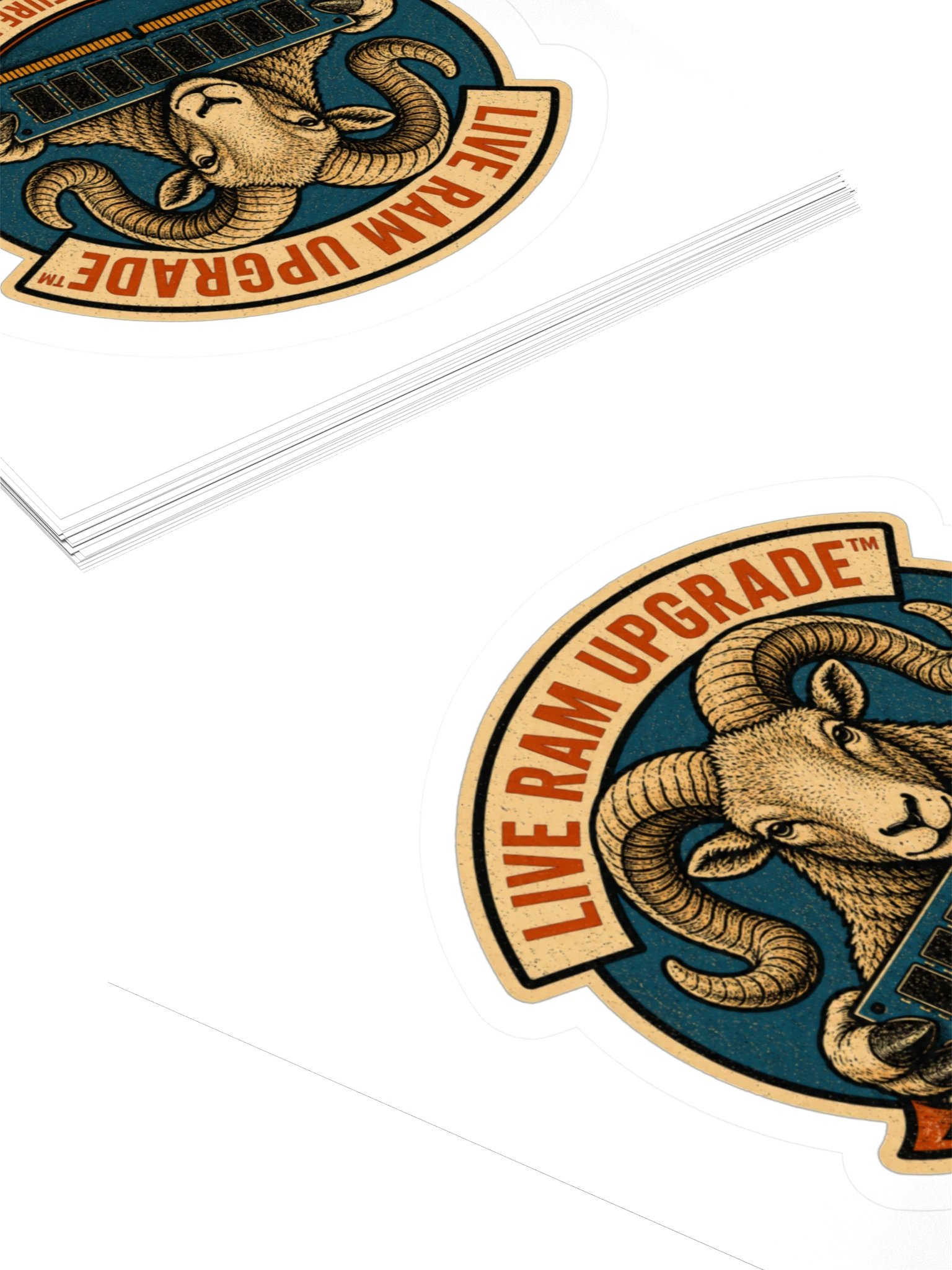 Live RAM Upgrade product image (8)