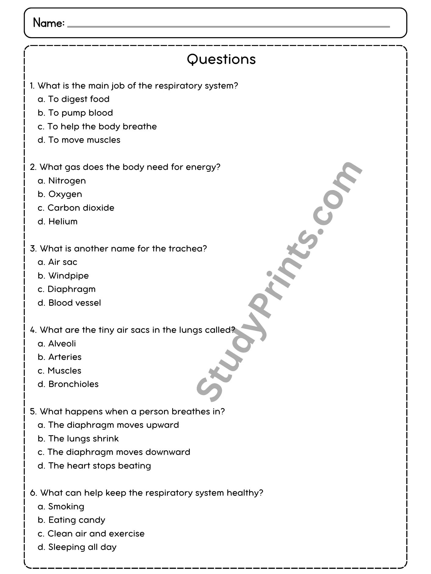 The Respiratory System Reading Comprehension Passage and Questions | Printable PDF product image (3)