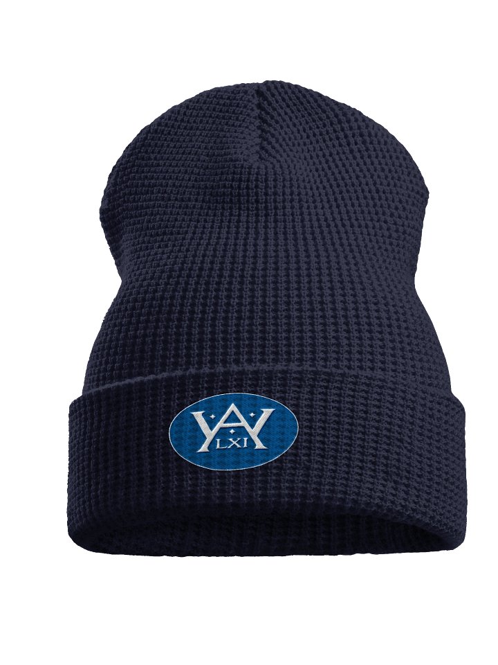 Weyla LXI Blue Sigil Waffle Knit Hat product image (6)