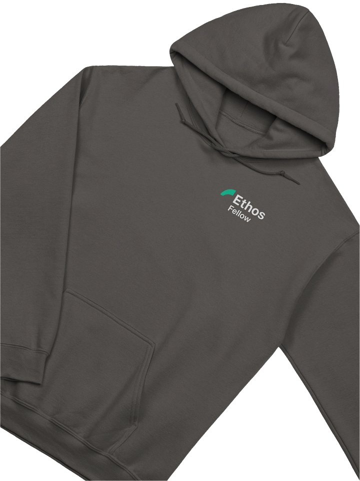 Ethos Fellow - Hoodie product image (2)