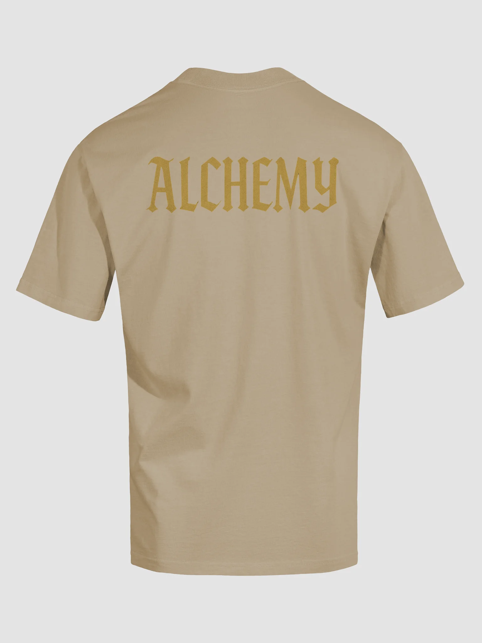 Golden Alchemy Oversized Tee product image (6)