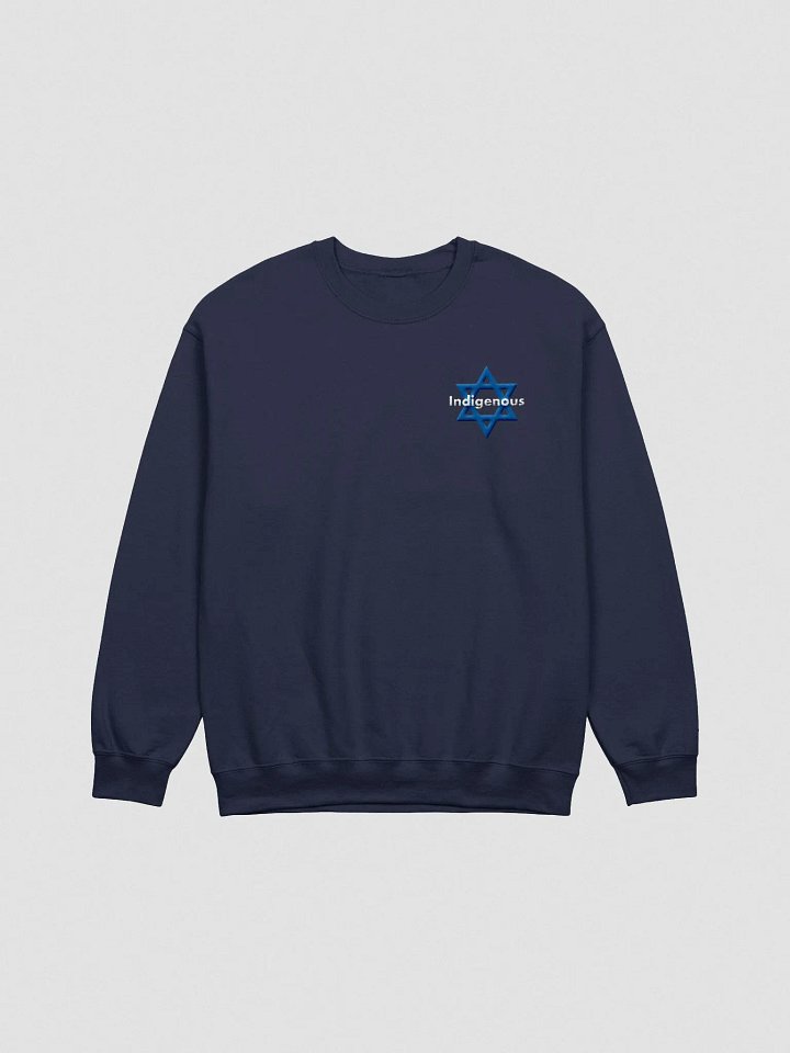 Indigenous Embroidered Sweatshirt product image (2)