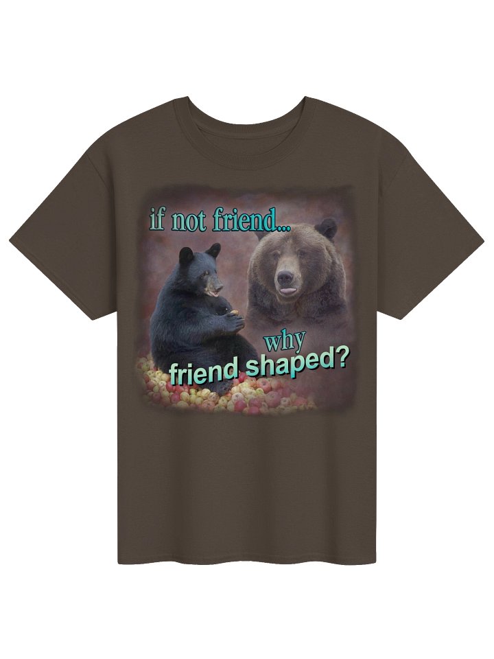 If Not Friend, Why Friend Shaped Bear T-shirt product image (1)