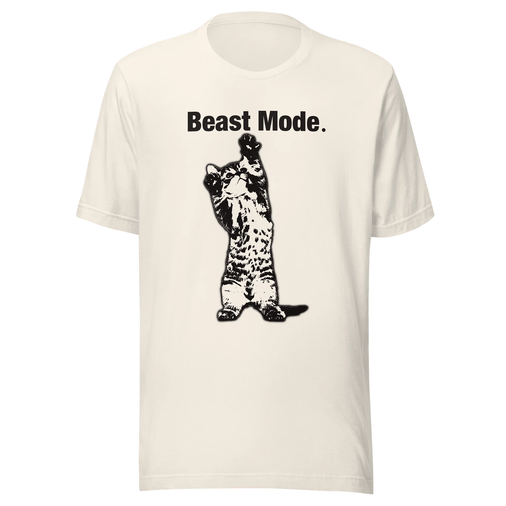 Boast Mode Graphic Tee product image (1)