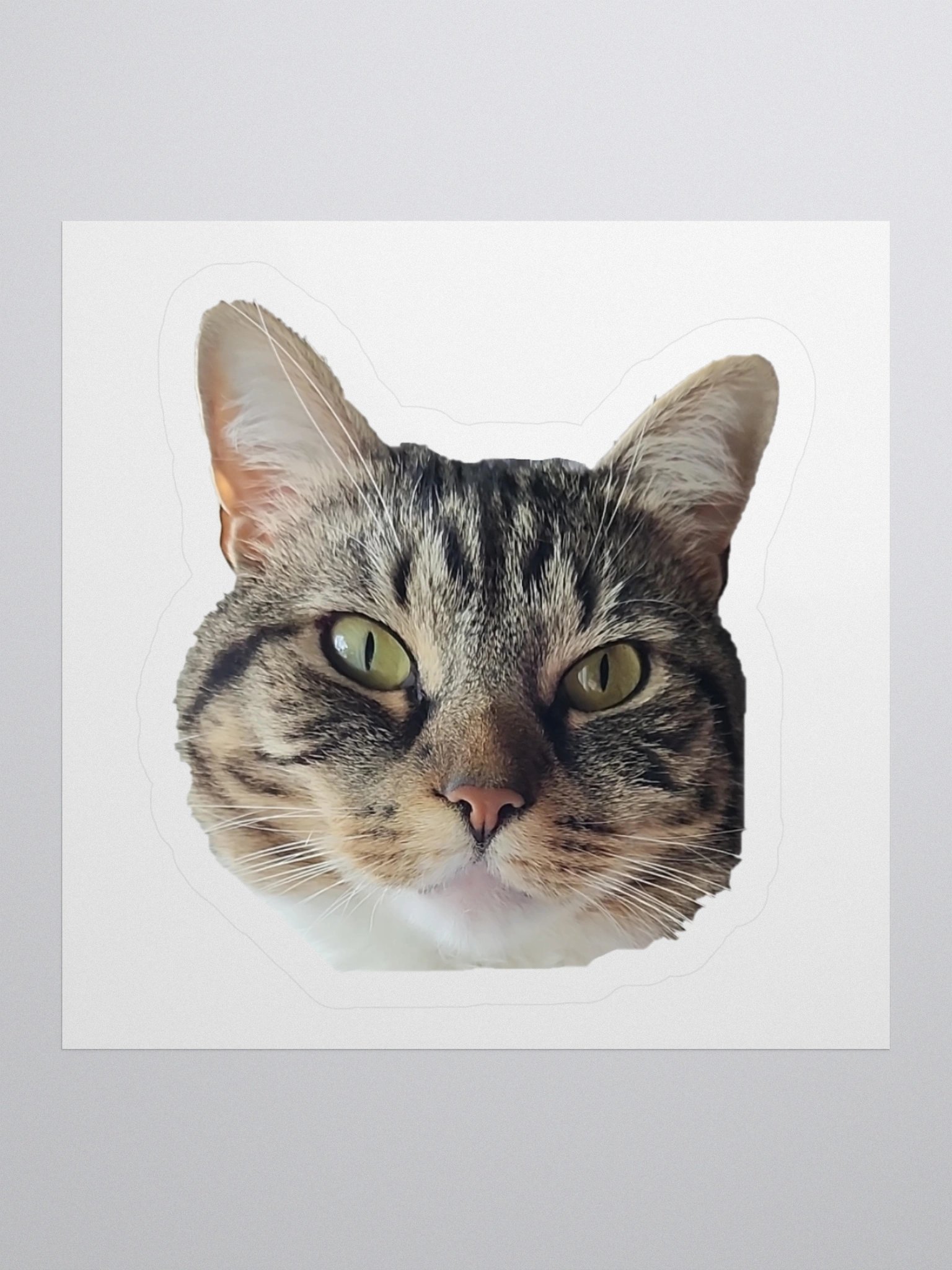 Machiko Face Sticker product image (1)