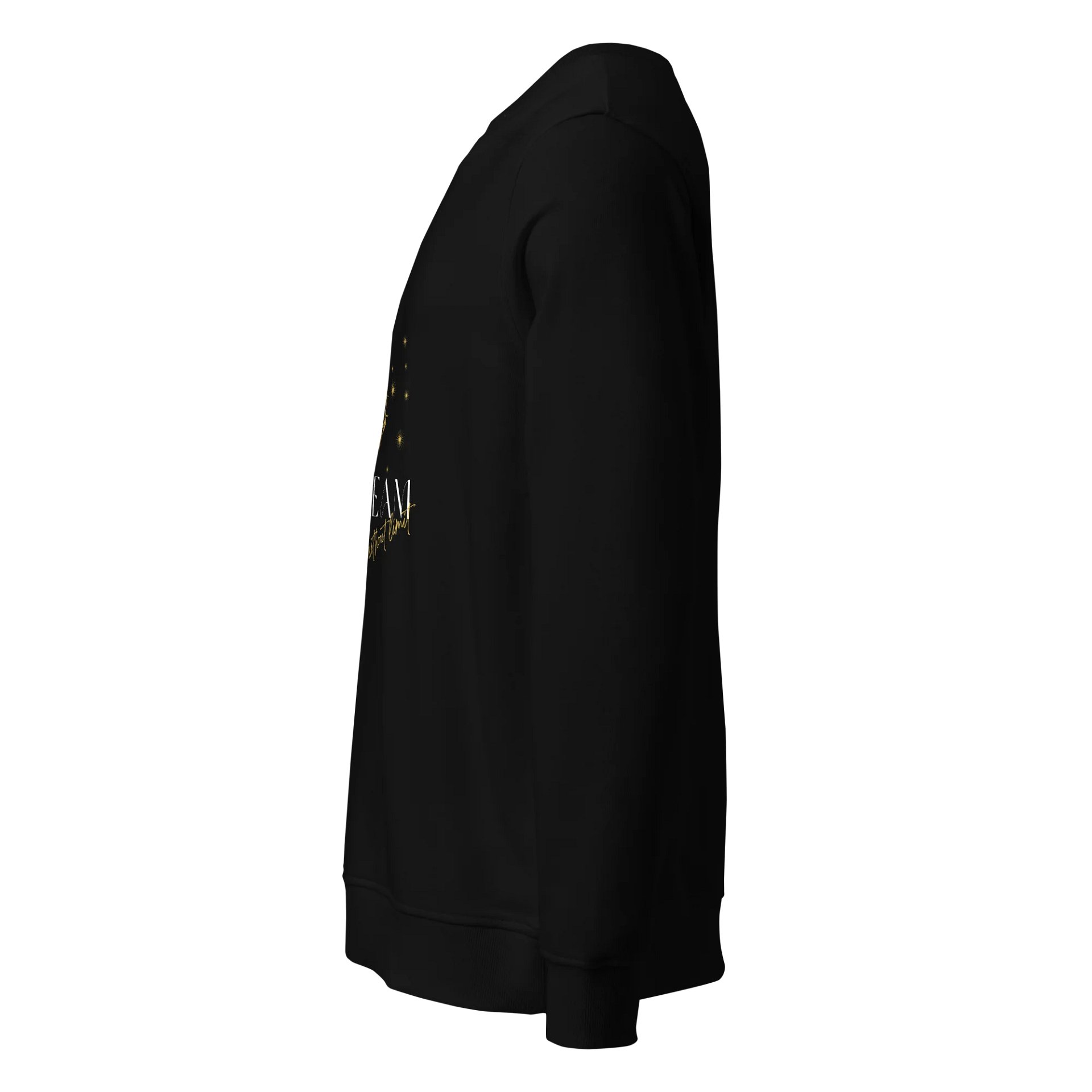 Women's Organic Sweatshirt OSFB0123 product image (4)
