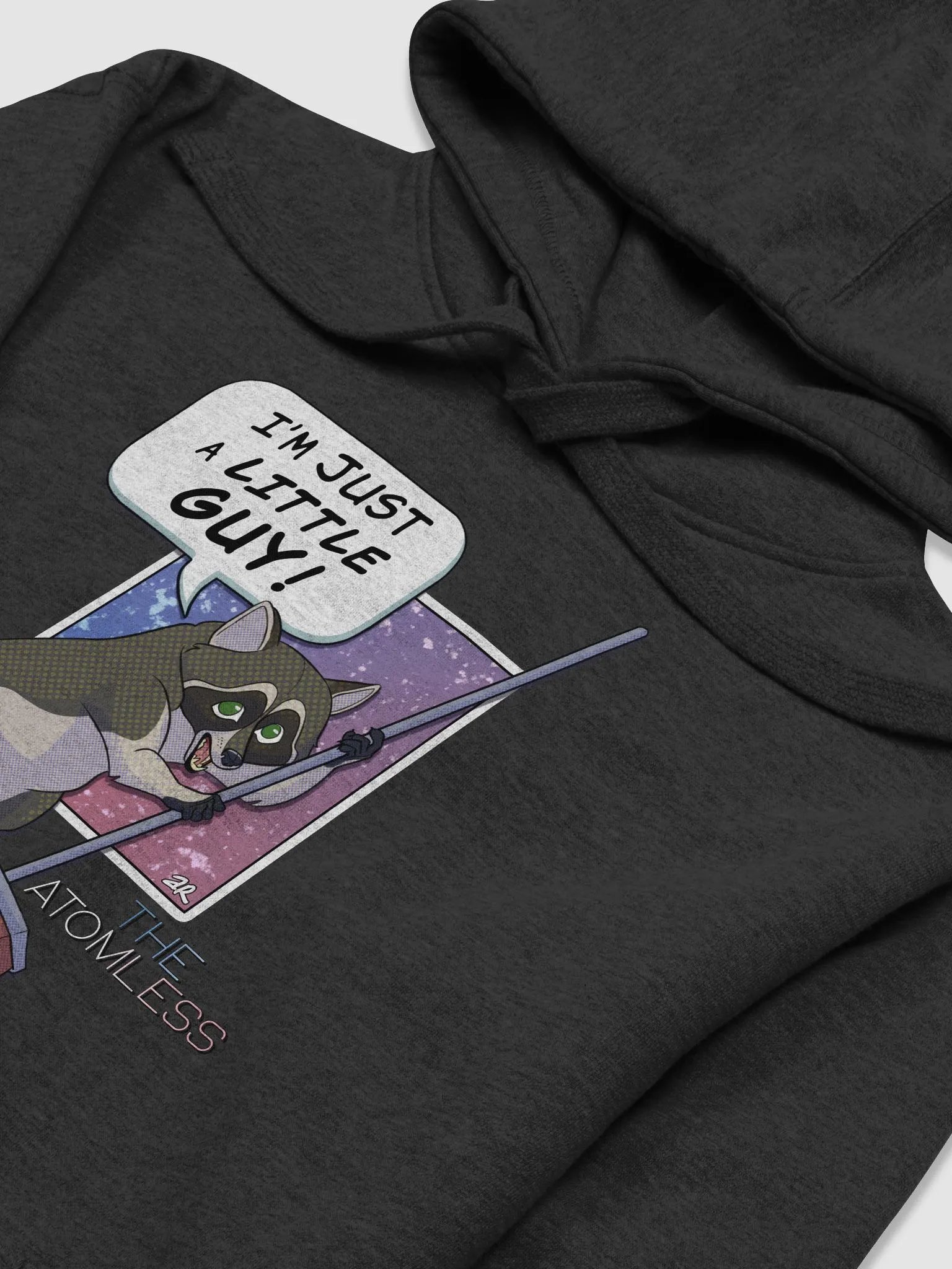 Guy the Racoon Hoodie product image (19)